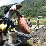 Tingo María: Erradican tonelada caracoles gigantes africanos