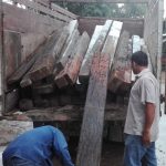 Detienen actividades de tala ilegal en Bosque de Protección Alto Mayo