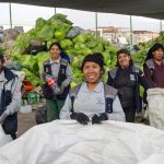 ¿Por qué las empresas deben promover la economía circular?