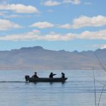 Reserva Nacional de Junín: avanza remediación de suelos contaminados