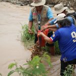 Arequipa: Operativos diarios para aplicar veda de camarón en río Majes