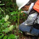 Comunidad nativa ucayalina participa en recuperación de boques degradados