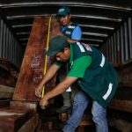 Intervienen transporte irregular de madera en Ucayali