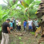 Loreto: Productores reconocidos como expertos en control de plagas del plátano