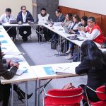 MEM: “Los grandes objetivos son electrificar el país y masificar el uso del gas en el sur”