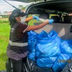 Madre de Dios: Incautan una tonelada de pescado contaminado con mercurio