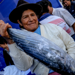“Mi Pescadería” llega a Junín con pescados a precios económicos
