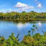 Minam: Áreas naturales protegidas de Madre Dios no se afectarán con declaratoria de emergencia