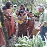 Pasco: Usuario de Pensión 65 crea orquideario y rescata 170 especies de esta flor