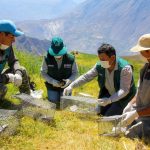 Plagas en cultivos y crianzas podrían presentarse tras las lluvias