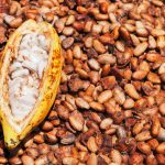 Goresam impulsa mitigación de la presencia de cadmio en el cacao