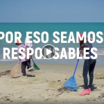 Veraneantes y comerciantes se convierten en “SalvaPlayas” para mantener playas limpias