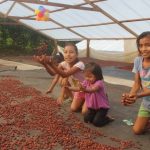Agricultura regional se beneficiará con planes de negocios de Procompite
