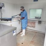 Autorizan primer establecimiento de procesamiento primario de cuyes en Ayacucho