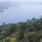 Colombia: Conservación de los páramos, tarea que involucra a toda la sociedad
