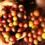 Exportaciones de Loreto se dinamizarán con actualización del Plan Regional Exportador