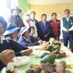 Huancayo: Impulsan lucha contra la desnutrición y la anemia