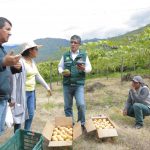 Junín: Anuncian apertura de Oficina Agraria de Pariahuanca