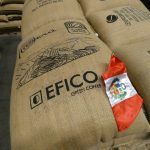 Marca “Cafés del Perú” arriba por primera vez al mercado internacional