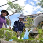 Más de 50 productores exponen en feria de plantas en Junín