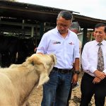 Ministerio de la Producción apoyará reflotamiento de la granja ganadera de Calzada