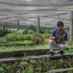 Peruanos podrán postular hasta inicios de abril a becas en universidades chinas