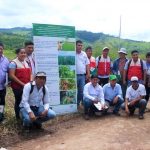 Promueven nuevas tecnologías de mejora del maíz amarillo duro en Picota