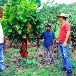 Realizan soporte técnico a los participantes posterradicaión en valle de Santa Rosa de Mishillo