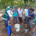Ucayali: Productores de cacao capacitados en uso de controladores biológicos