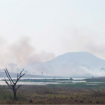 Brasil: La Amazonía se está secando