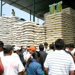 Censo de stock de arroz se realizará en 15 regiones del país