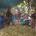 Destruyen poza de maceración de coca en Madre de Dios