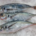Huánuco: Venderán pescado a precios de promoción en Hermilio Valdizán