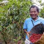Invirtierten S/ 75.7 millones en potenciar a 12 mil productores cafetaleros