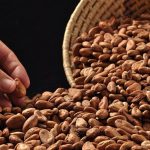 Lanzan XIII Concurso Nacional de cacao de calidad 2019 – Etapa Regional