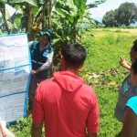 Productores de Amazonas se capacitan para mejorar su producción de banano