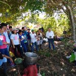 Capacitan productores de Ucayali para mejorar producción de plátano