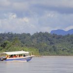 Comunidades indígenas de Amazonas y Loreto accedieron a pruebas de tamizaje de VIH