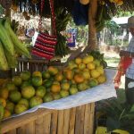 Consolidan a organizaciones de productores de naranja en San Martín