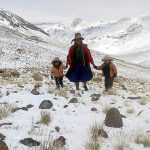 Cusco: Gobierno Regional entregará ayuda humanitaria por bajas temperaturas