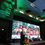 El Gobierno muestra voluntad política para luchar contra la deforestación