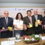 Este 2019 se estima producir 149 mil toneladas de cacao, a nivel nacional