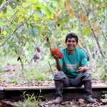 #HistoriasDeVida recoge testimonios de agricultores que apuestan por el desarrollo alternativo