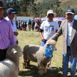 Huánuco: Promueven cultura ganadera en Lauricocha