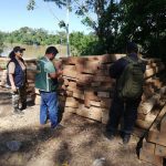 Incautan madera ilegal en Madre de Dios