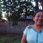 La hidrovía amazónica: ¿el destino del río?