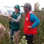 Nuevos mercados y más quinua de Ayacucho para el mundo