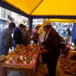 Exponen variedades de papas nativas en Jauja