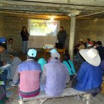 Agricultores de La Libertad incrementaron producción de papa