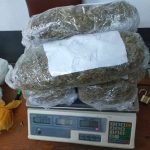 Prisión preventiva para sujeto por transporte de droga marihuana en Puerto Maldonado